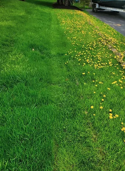 Expert outdoor landscaping for beautiful yards across Nedrow, NY - The Real M'Coye