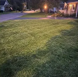 Expert residential landscaping experts serving Nedrow, NY - The Real M'Coye