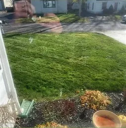 Top-rated lawn care service experts serving Nedrow, NY - The Real M'Coye