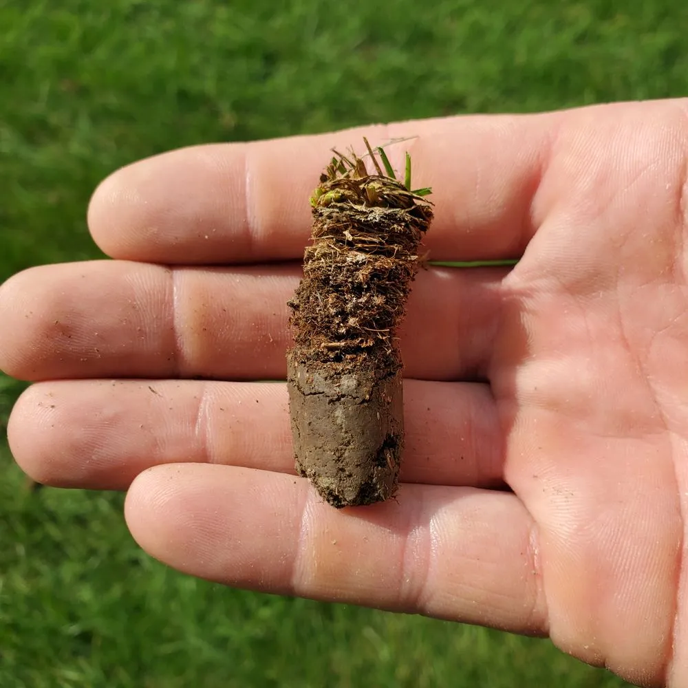 Expert lawn mowing service for beautiful yards across Nedrow, NY - The Real M'Coye