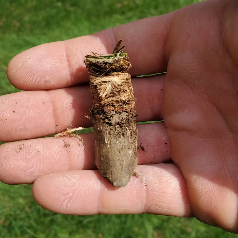 Local residential landscaping for residential properties in Nedrow, NY by The Real M'Coye