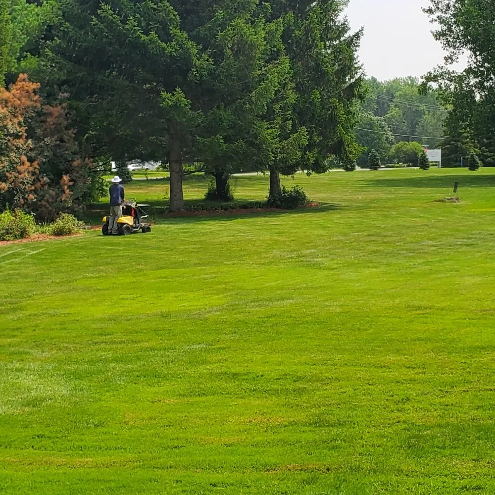 Local yard maintenance in Nedrow, NY by The Real M'Coye