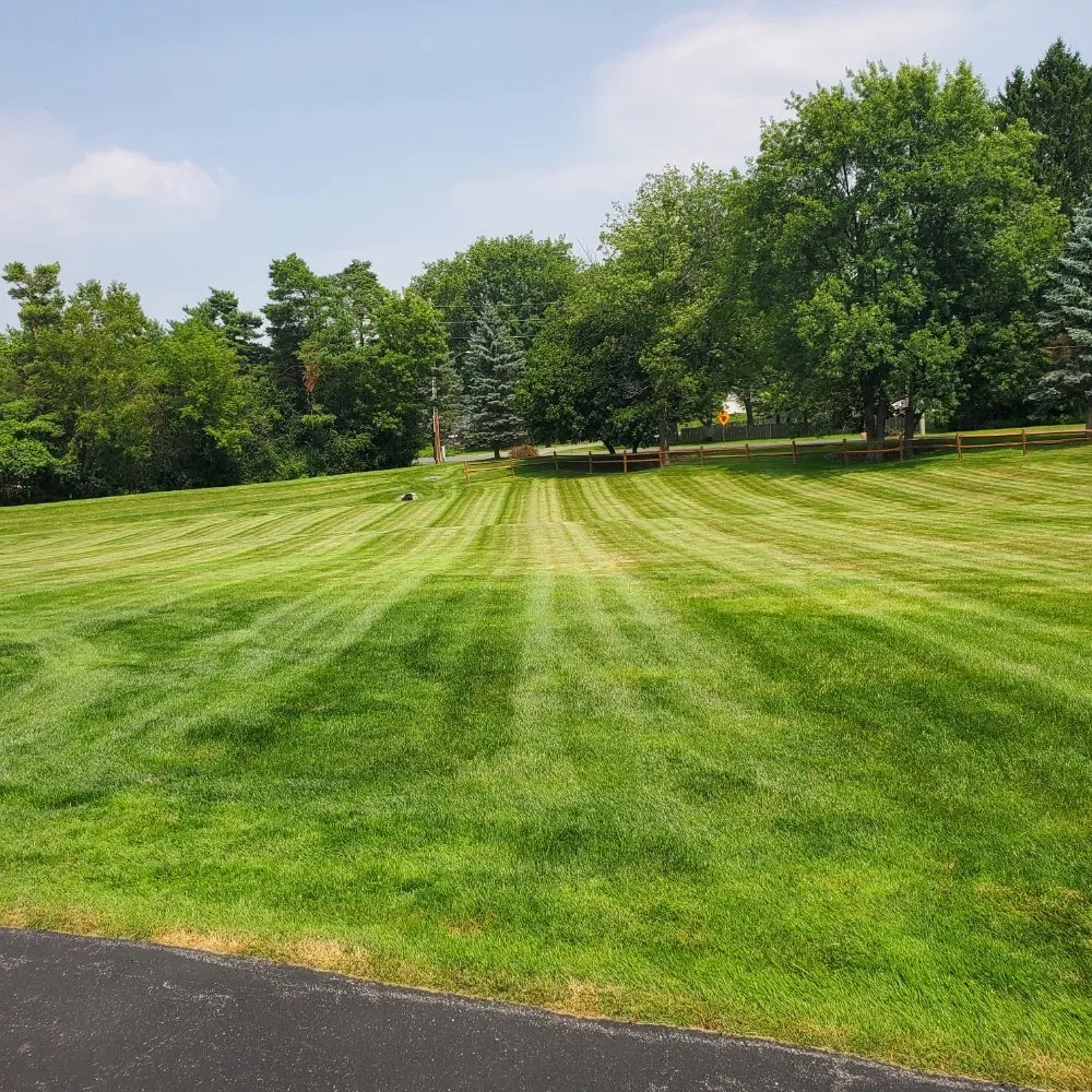 Professional garden landscaping in Nedrow, NY by The Real M'Coye