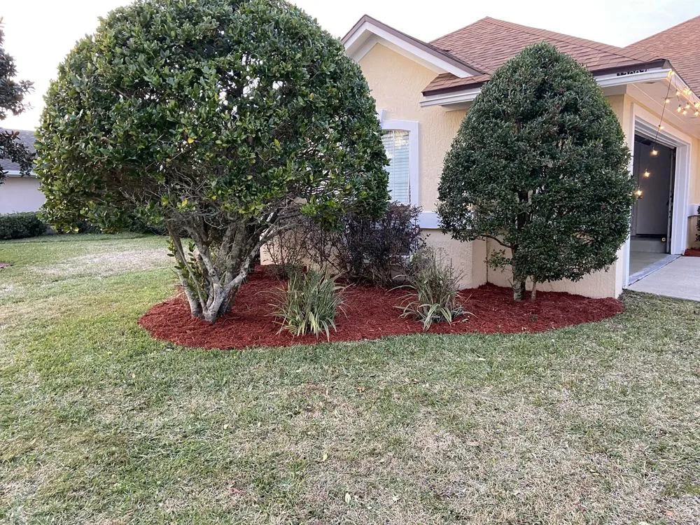 Professional yard cleanup service in Jacksonville, FL by The Real Turf Guys
