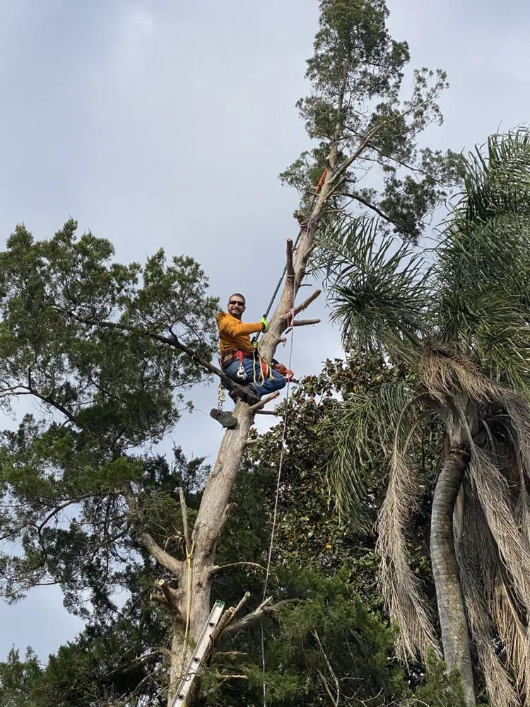 Custom landscape installation for beautiful yards in Jacksonville, FL by The Real Turf Guys