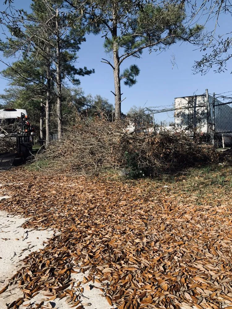 Affordable landscape design for homes in Jacksonville, FL by The Real Turf Guys