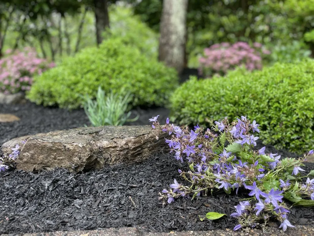 Expert outdoor landscaping in Islip Terrace, NY - The Rebel Gardener