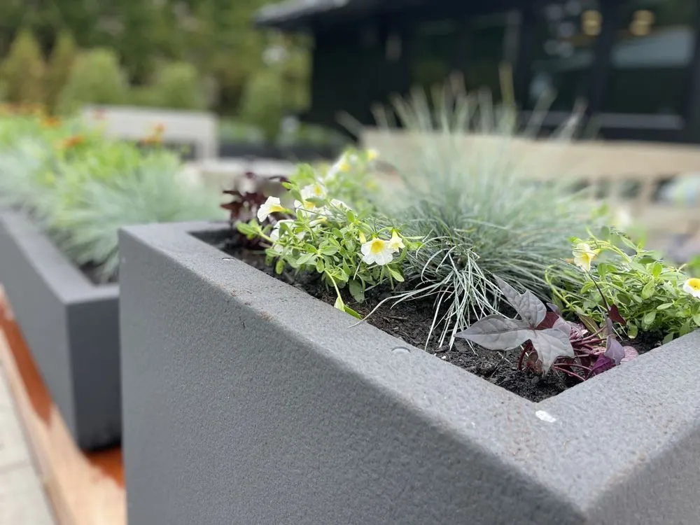 Top-rated residential landscaping for homes in Islip Terrace, NY by The Rebel Gardener