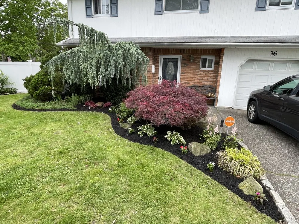 Affordable outdoor landscaping in Islip Terrace, NY - The Rebel Gardener
