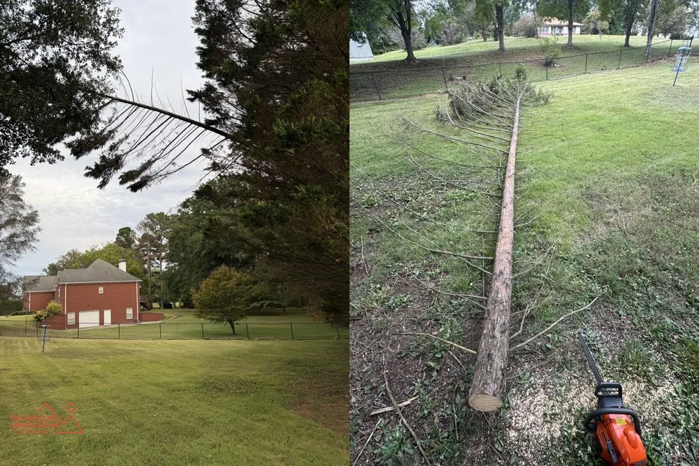 Professional lawn care service experts serving Woodstock, GA - The Red Clay Landscaping