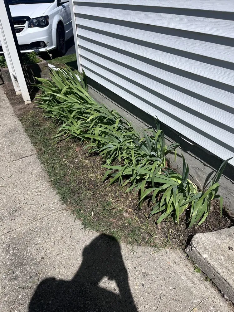 Professional landscape installation in Dublin, IN by The Red Deed Lawn Services