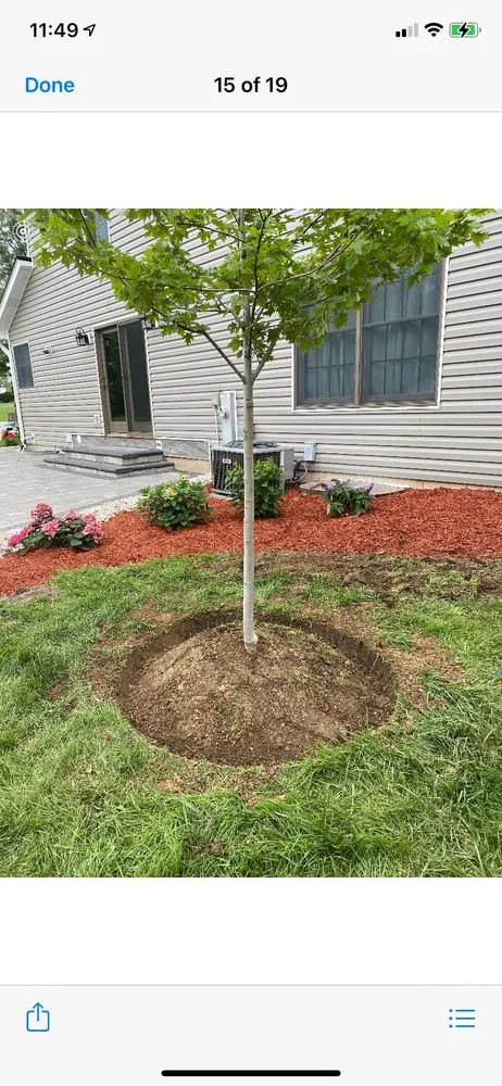 Trusted landscaping services in Joliet, IL - The Red Flowers Landscaping