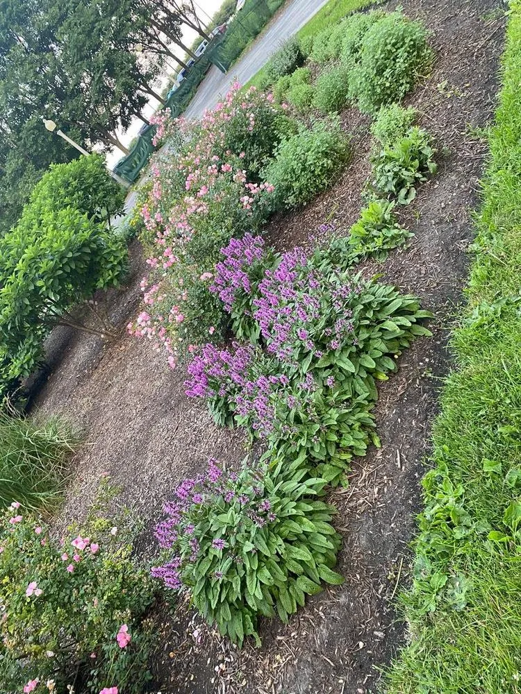 Reliable lawn care service for homes across Joliet, IL - The Red Flowers Landscaping