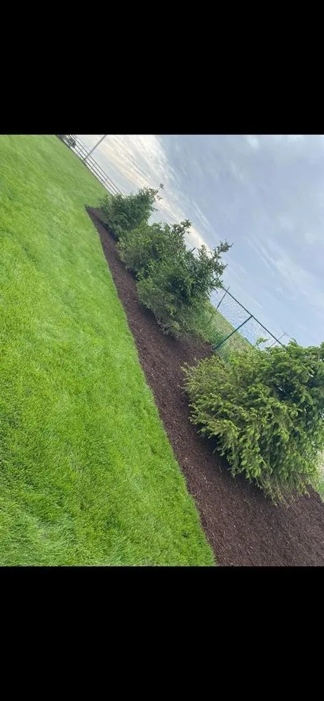 Local landscape design in Joliet, IL - The Red Flowers Landscaping