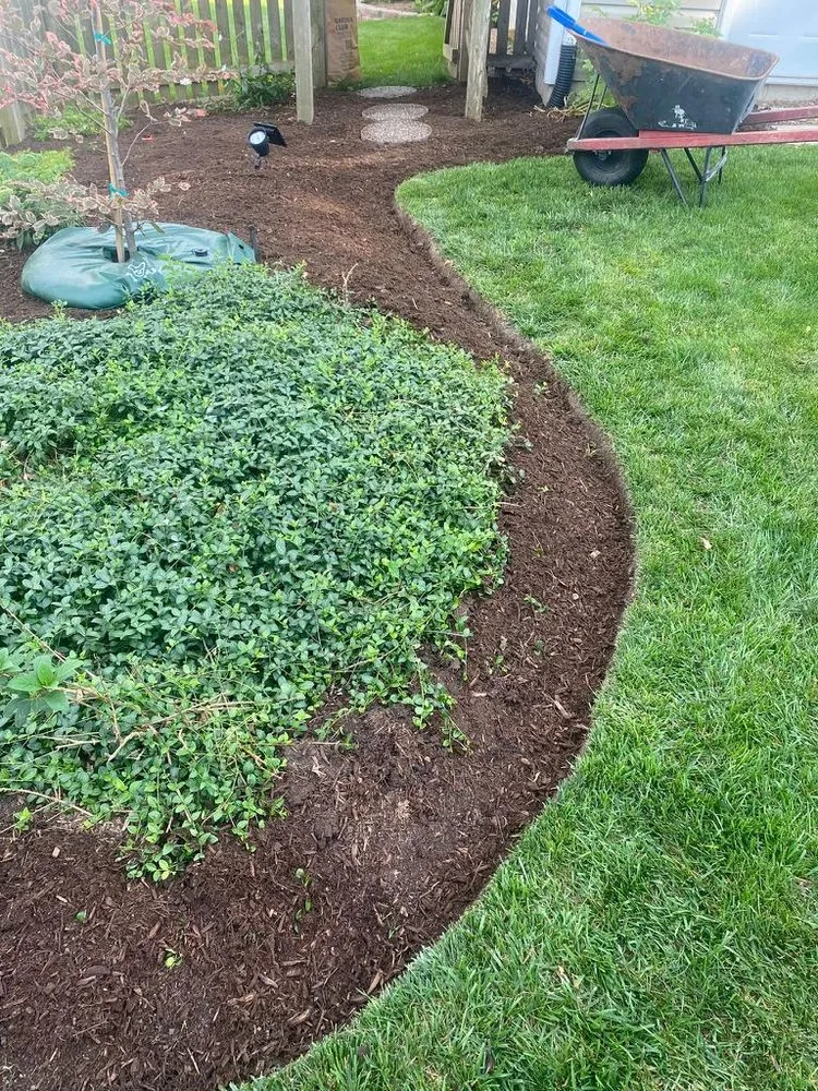 Reliable lawn care service for beautiful yards across Joliet, IL - The Red Flowers Landscaping