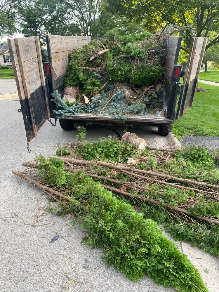 Custom outdoor landscaping for year-round maintenance across Joliet, IL - The Red Flowers Landscaping