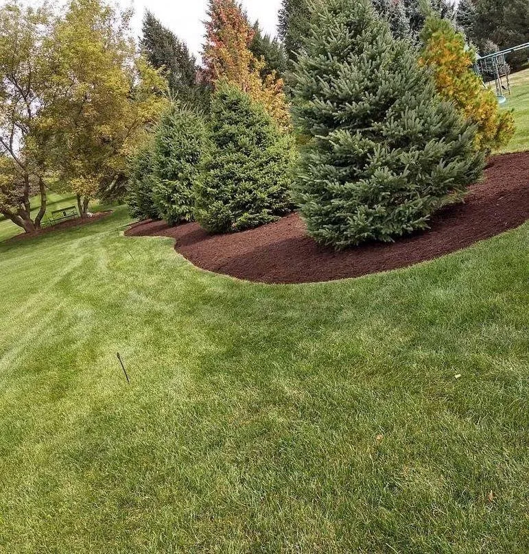 Expert landscape installation experts serving Joliet, IL - The Red Flowers Landscaping