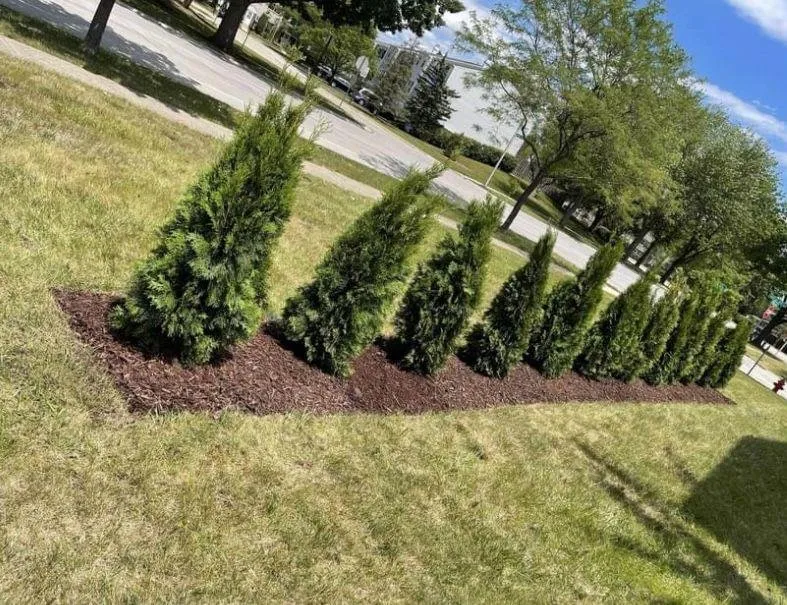 Trusted lawn mowing service for year-round maintenance across Joliet, IL - The Red Flowers Landscaping