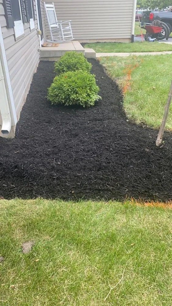 Expert yard cleanup service in Joliet, IL - The Red Flowers Landscaping