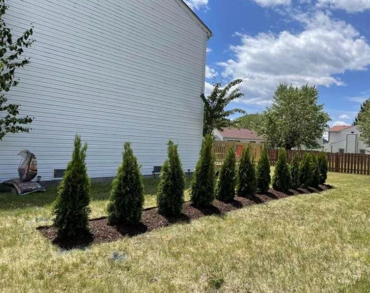 Reliable residential landscaping for residential properties across Joliet, IL - The Red Flowers Landscaping