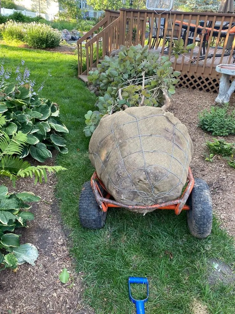 Local lawn mowing service in Joliet, IL - The Red Flowers Landscaping