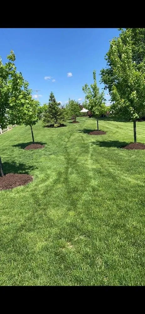 Expert landscape design experts serving Joliet, IL - The Red Flowers Landscaping