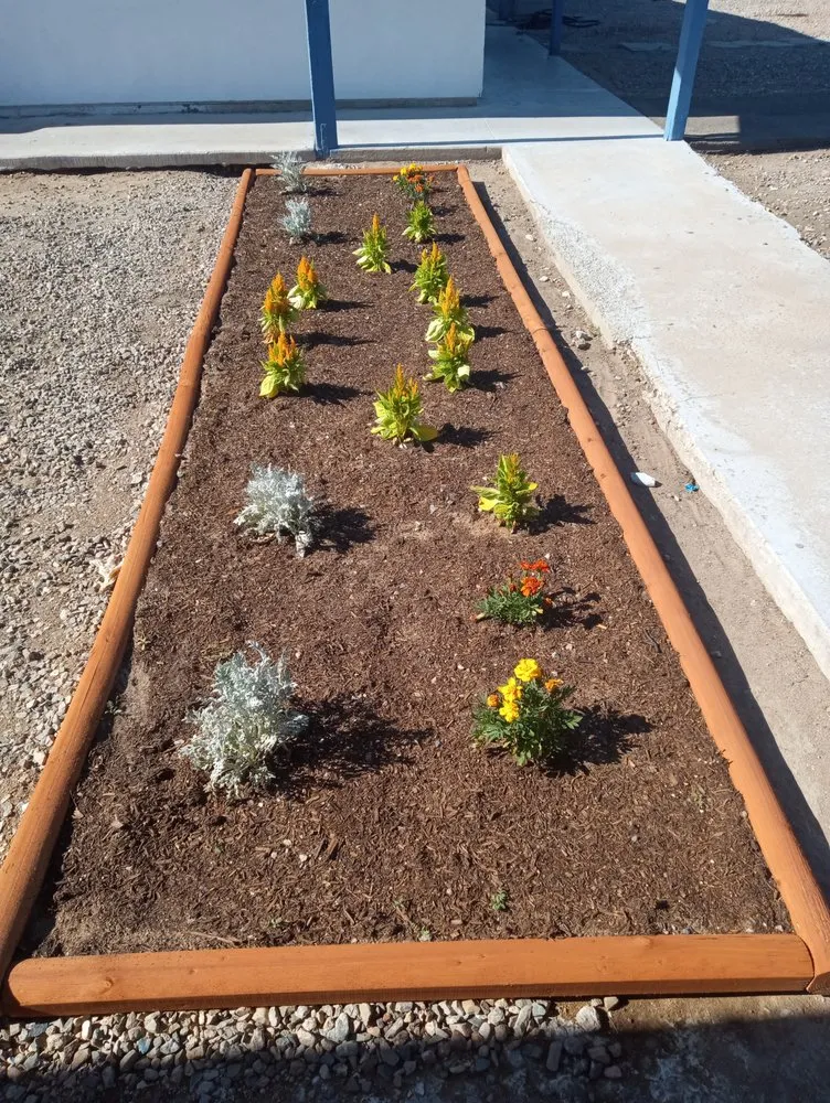 Local yard cleanup service experts serving Hesperia, CA - The REF Landscaping