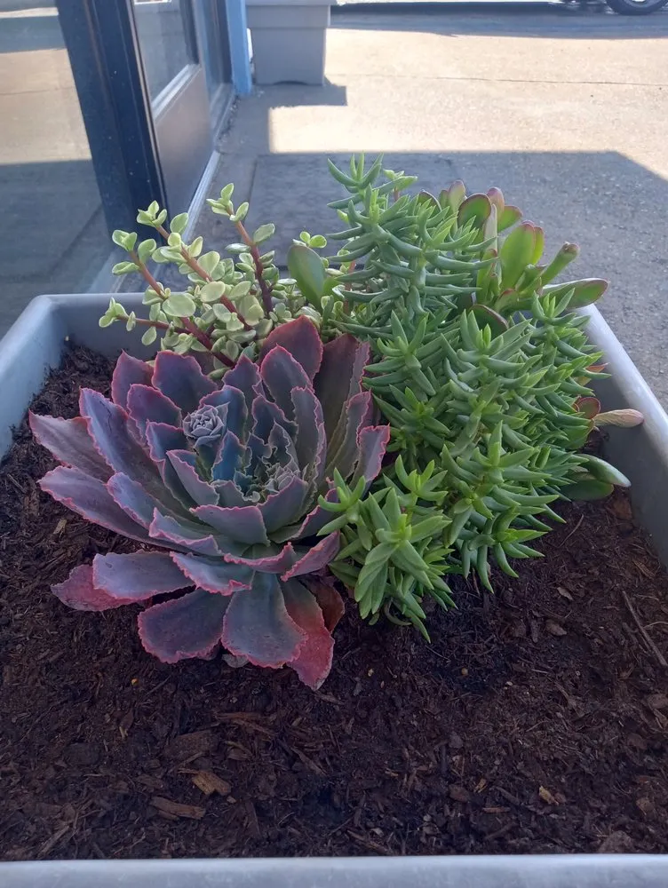 Top-rated landscape design with custom design across Hesperia, CA - The REF Landscaping