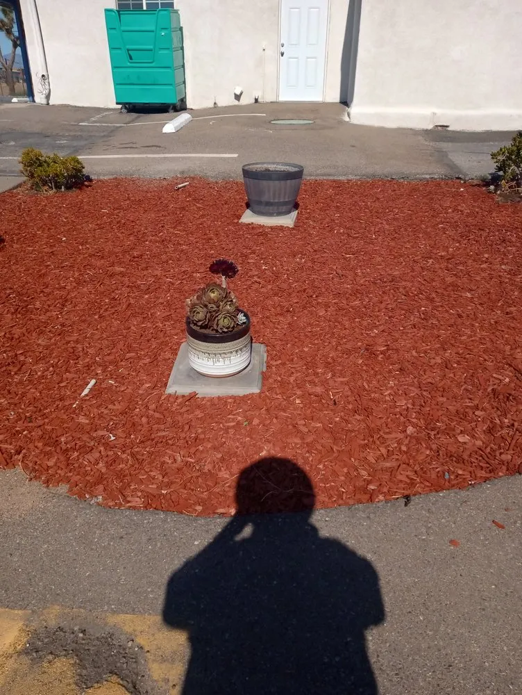 Reliable residential landscaping experts serving Hesperia, CA - The REF Landscaping