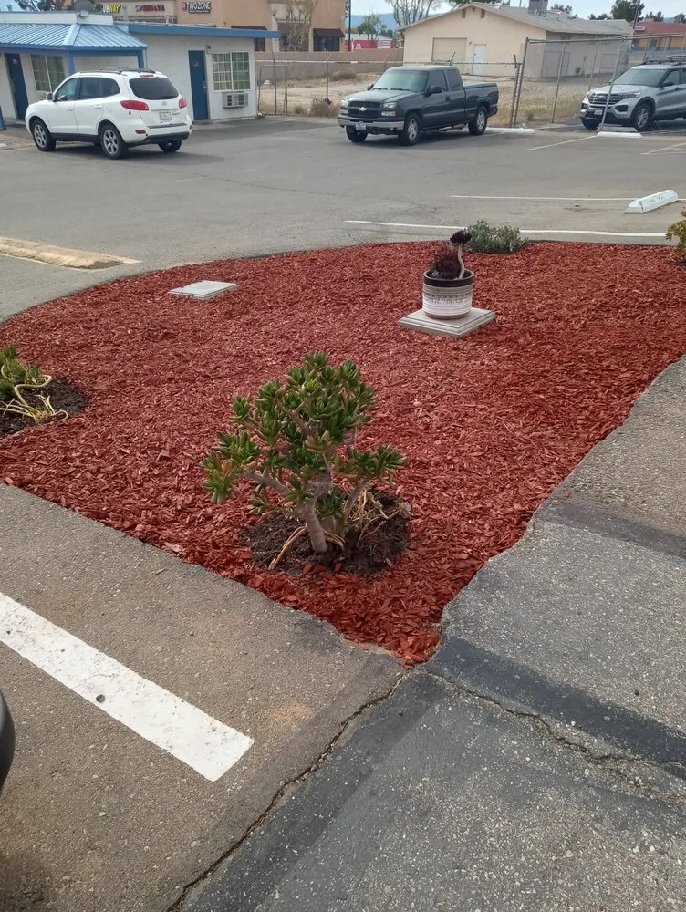 Reliable residential landscaping in Hesperia, CA - The REF Landscaping
