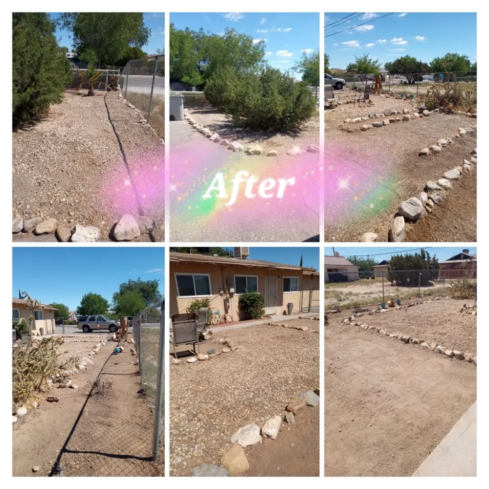 Top-rated yard cleanup service in Hesperia, CA by The REF Landscaping