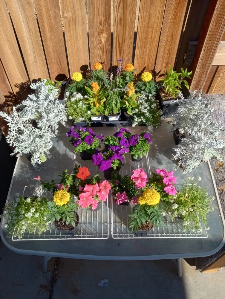 Affordable garden landscaping in Hesperia, CA - The REF Landscaping