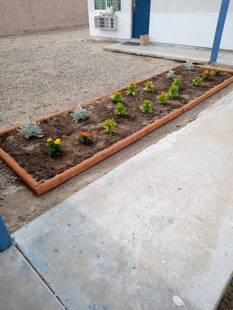 Professional lawn care service in Hesperia, CA by The REF Landscaping