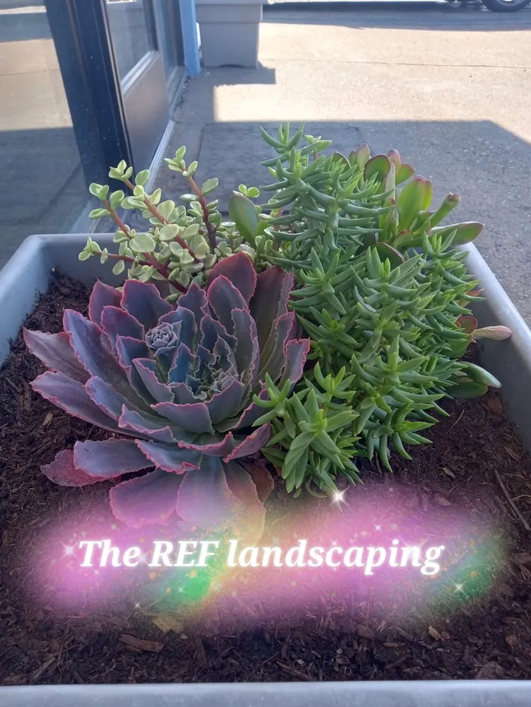 Custom lawn mowing service experts serving Hesperia, CA - The REF Landscaping