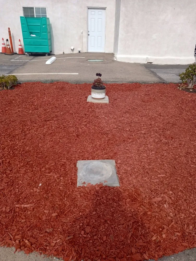 Reliable yard cleanup service in Hesperia, CA - The REF Landscaping