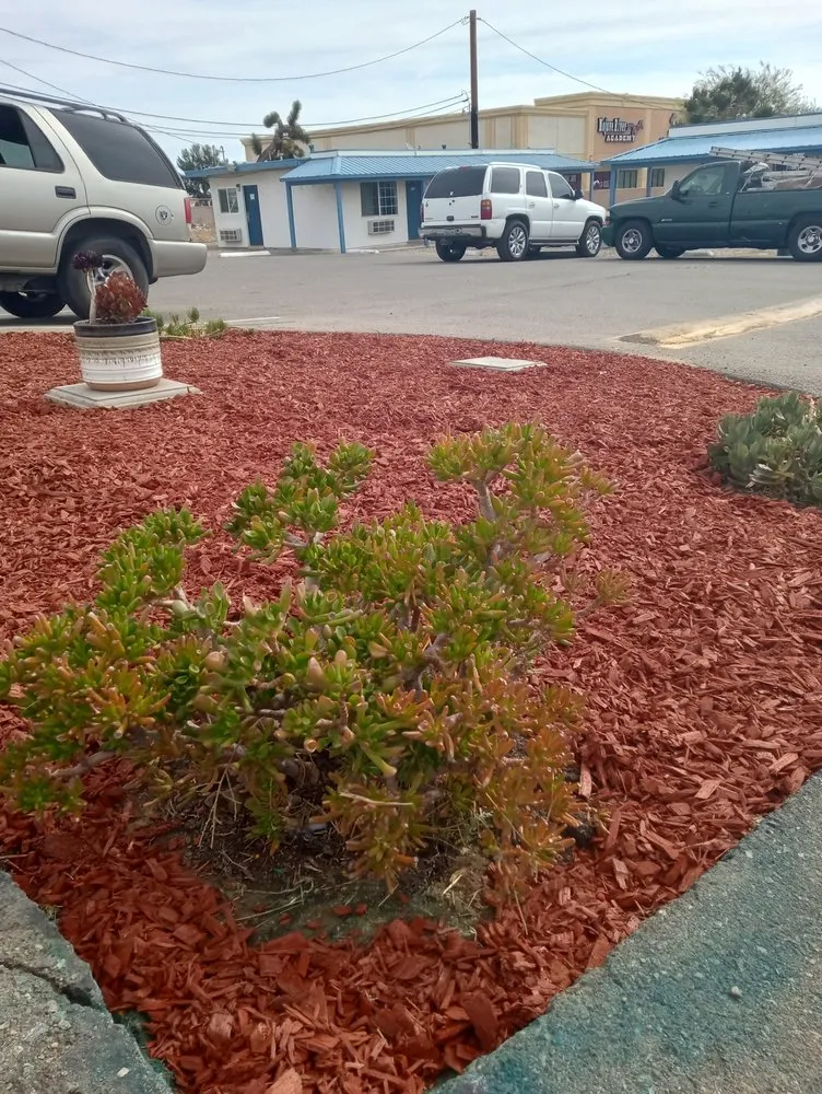 Trusted landscape design in Hesperia, CA by The REF Landscaping