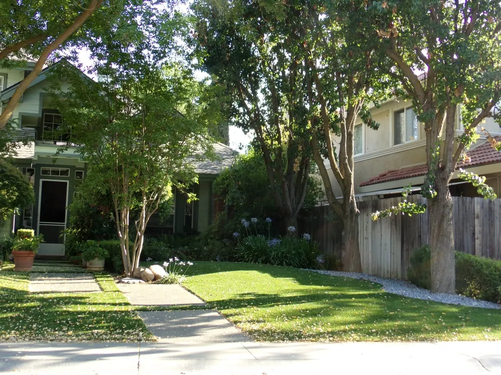 Reliable landscape design in Sacramento, CA by The Reid System
