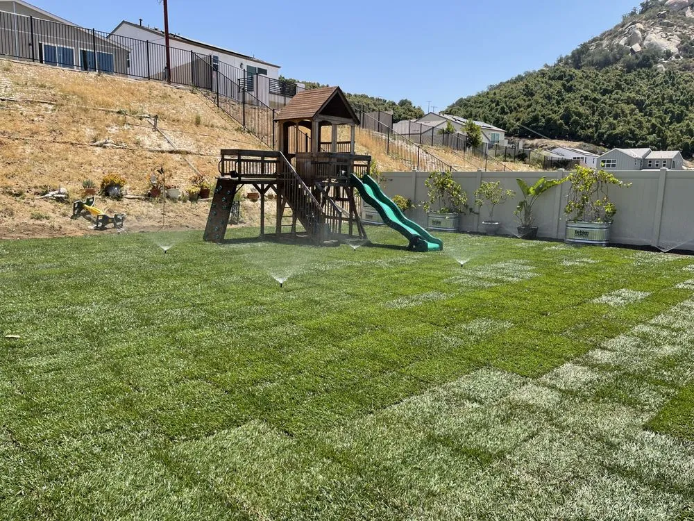 Reliable yard cleanup service for year-round maintenance in Fallbrook, CA by The Repair Guys Company