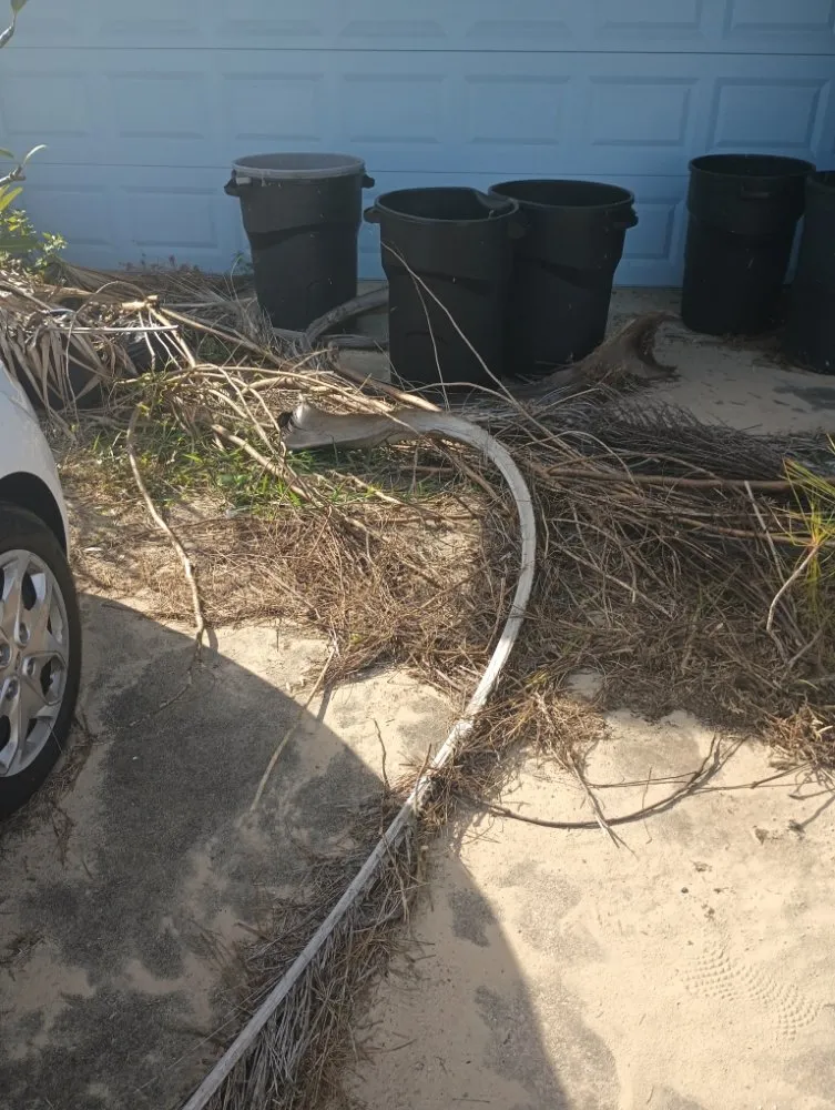 Local residential landscaping for residential properties across Cocoa, FL - The Rescue Pool & Lawn Services