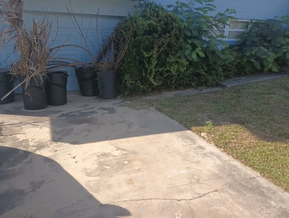 Affordable outdoor landscaping for outdoor upgrades in Cocoa, FL by The Rescue Pool & Lawn Services