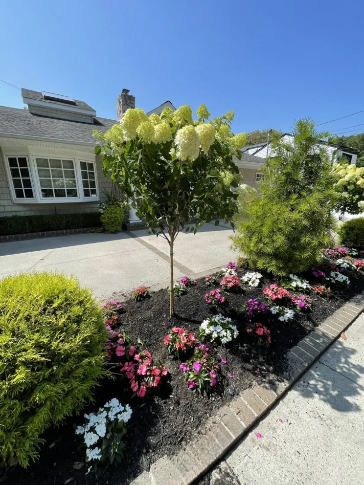 Top-rated yard cleanup service in Cedarhurst, NY by The Reyes Brothers