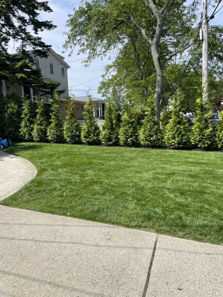 Reliable residential landscaping for residential properties in Cedarhurst, NY by The Reyes Brothers