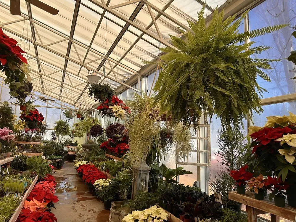 Affordable lawn mowing service in North Wales, PA by The Rhoads Garden