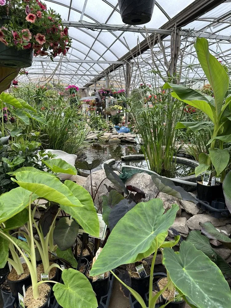 Trusted lawn mowing service near you in North Wales, PA by The Rhoads Garden