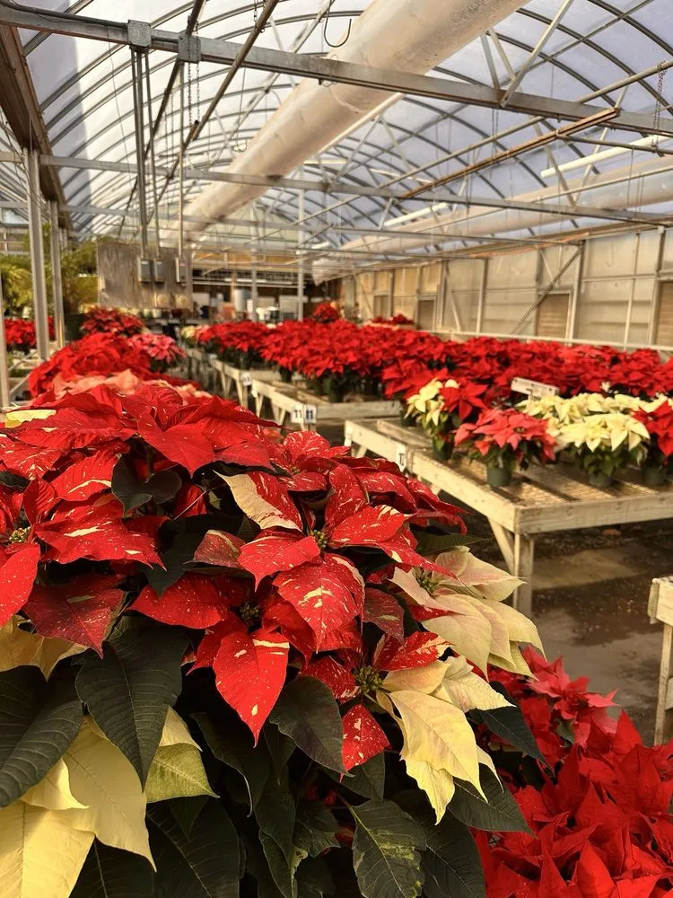 Trusted landscape design in North Wales, PA - The Rhoads Garden