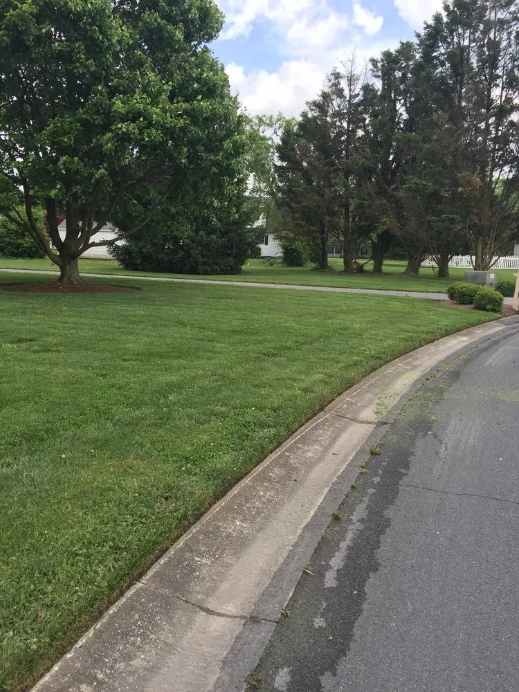 Top-rated yard cleanup service experts serving Salisbury, MD - The Right Cut Lawn Care