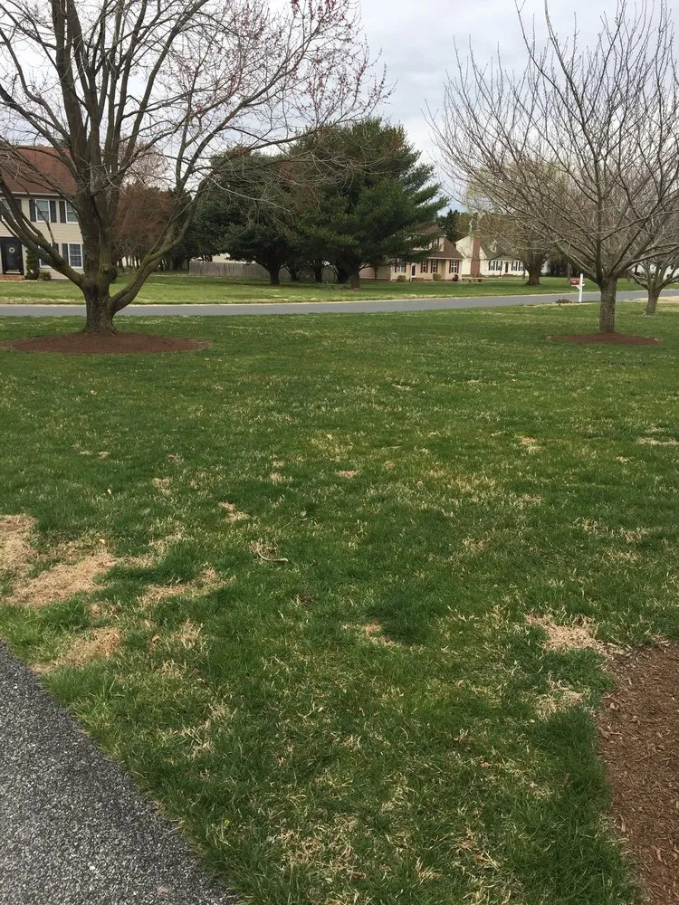 Professional yard maintenance in Salisbury, MD by The Right Cut Lawn Care