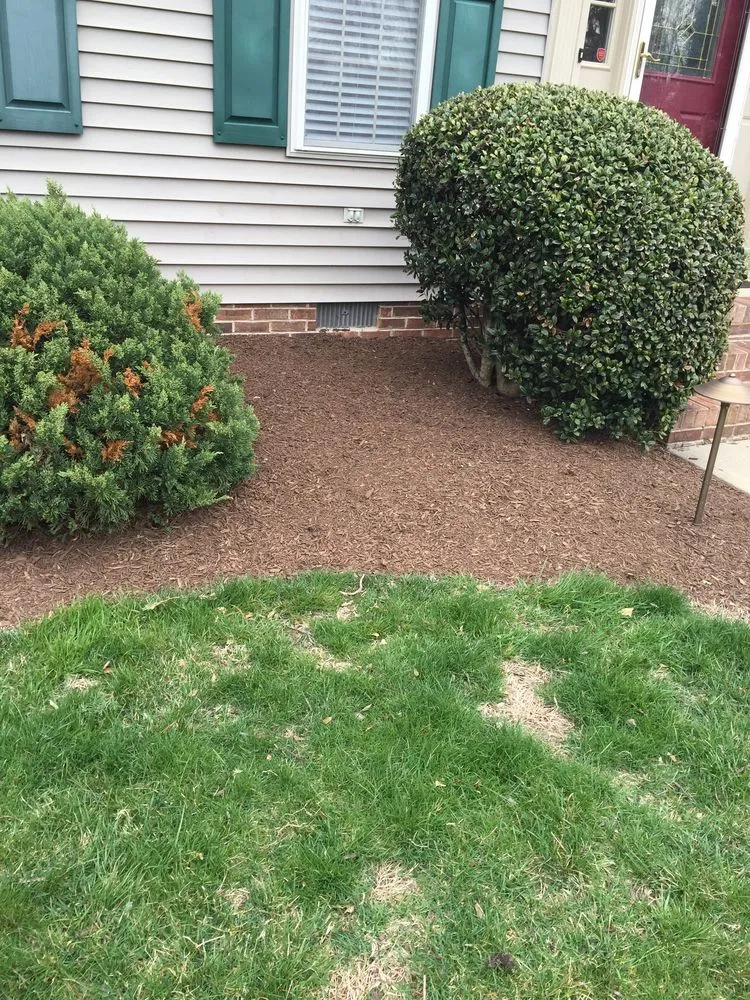 Affordable yard cleanup service for outdoor upgrades across Salisbury, MD - The Right Cut Lawn Care
