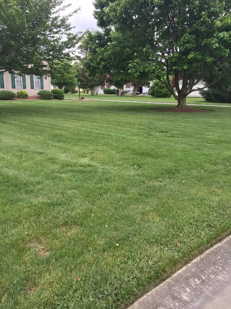 Local landscape design in Salisbury, MD - The Right Cut Lawn Care