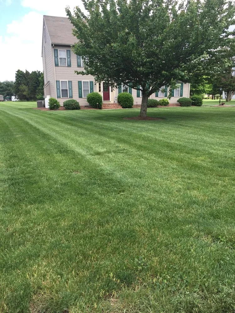 Custom lawn mowing service experts serving Salisbury, MD - The Right Cut Lawn Care
